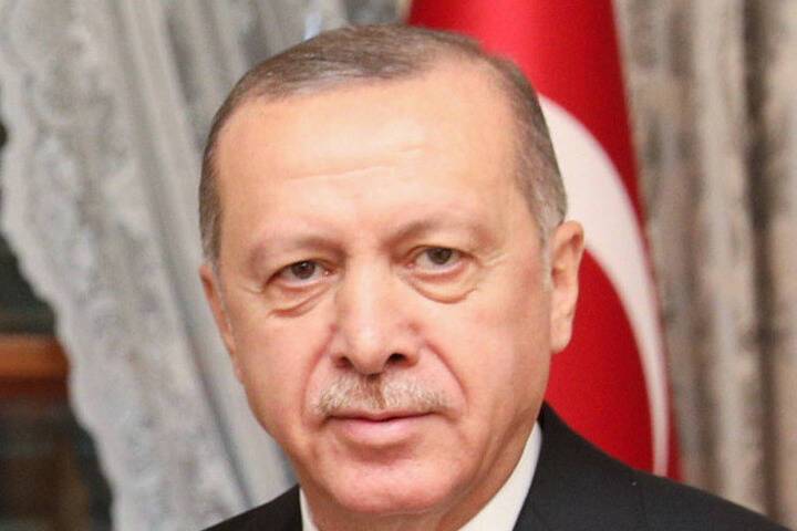 Турецкую телеведущую арестовали из-за пословицы про Эрдогана
