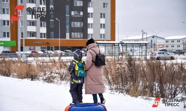 В России увеличили пособия для одиноких родителей и беременных женщин