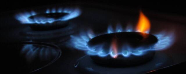 В «Газпроме» зафиксировали абсолютный суточный рекорд поставок российского газа в Китай