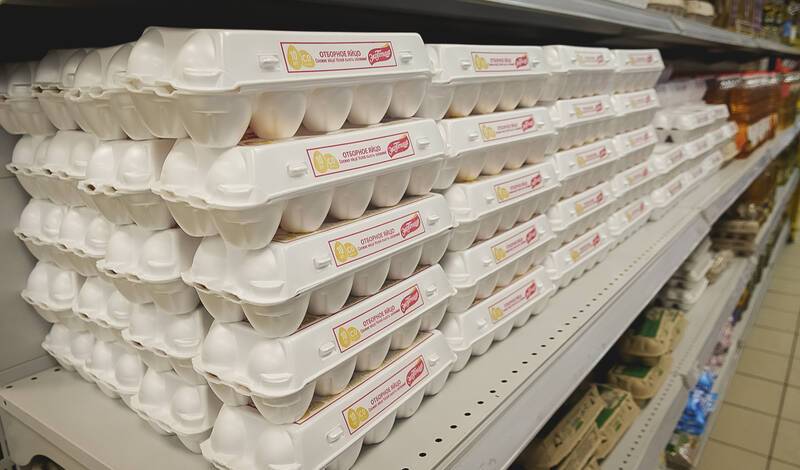Российские птицефабрики столкнулись с дефицитом импортных яиц