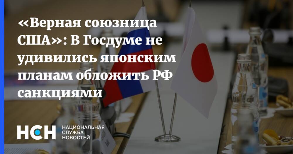 «Верная союзница США»: В Госдуме не удивились японским планам обложить РФ санкциями