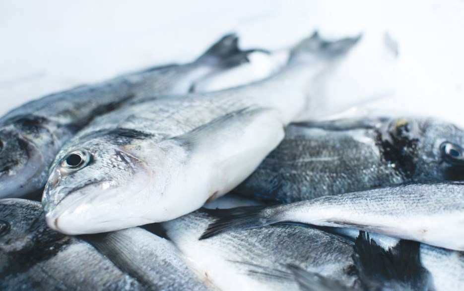 Врач Хуссейн Абде рассказал любителям солёной рыбы о смертельной опасности