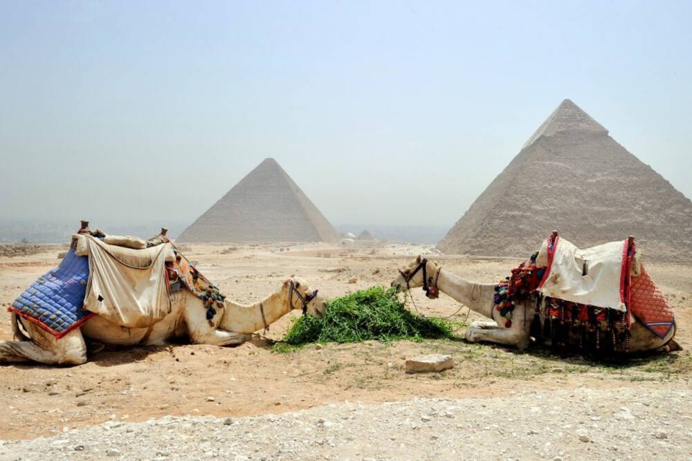Власти Египта смягчили условия въезда для российских туристов