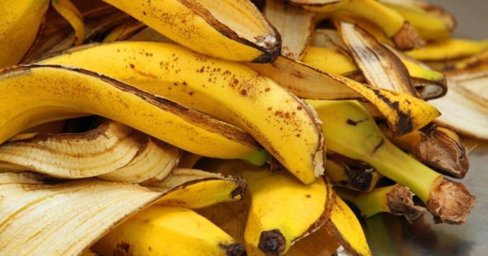 Из килограмма бананов 100 литров топлива: ученые нашли новое применение банановой кожуре