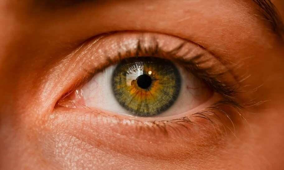 Офтальмолог Христо Тахчиди назвал признаки развития катаракты