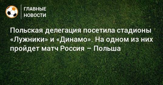 Польская делегация посетила стадионы «Лужники» и «Динамо». На одном из них пройдет матч Россия – Польша