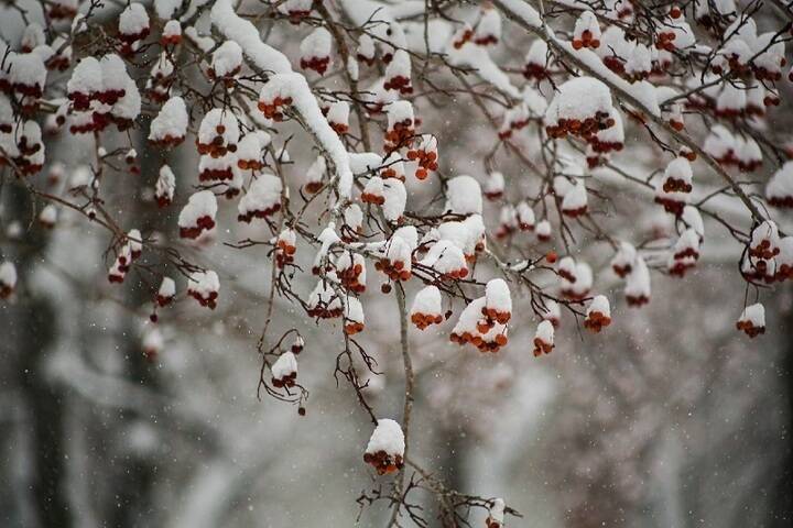 Облачная и снежная погода ожидает жителей Красноярска в среду