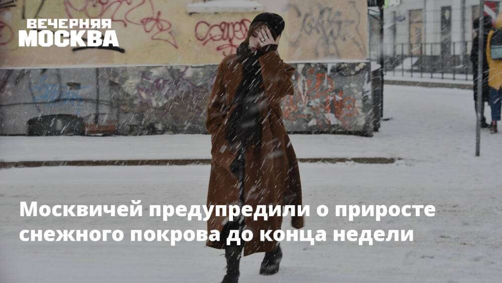 Москвичей предупредили о приросте снежного покрова до конца недели