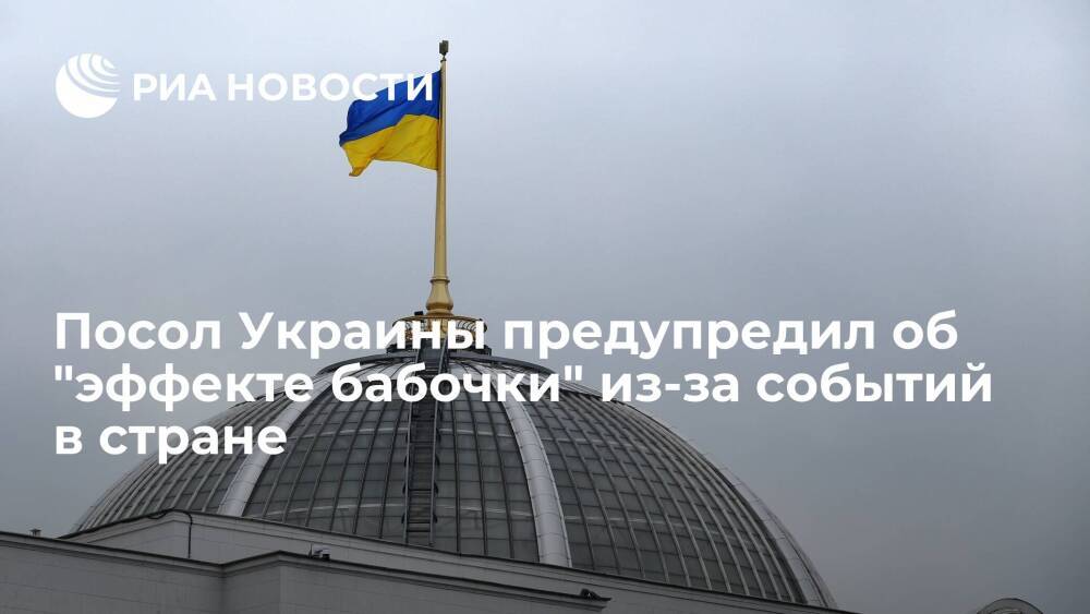 Посол Украины в Японии Корсунский предупредил об "эффекте бабочки" из-за событий в стране