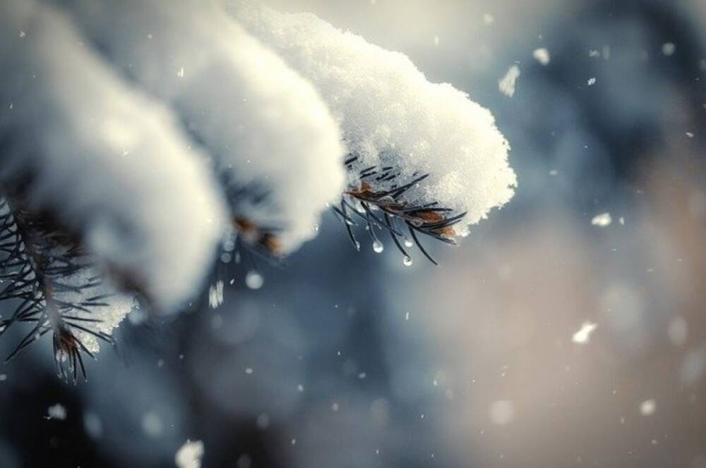 В Москве в конце января ожидается снежная и теплая погода