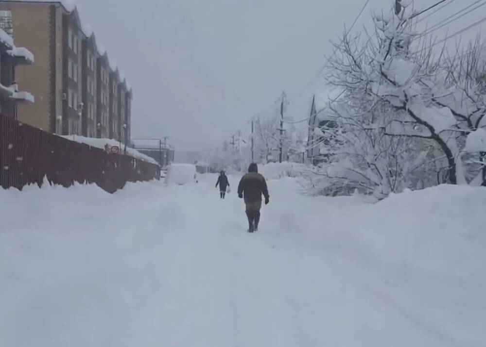 Штормовой ветер, лютый мороз и снег з дождями: синоптик Диденко предупредила - погода испытает Украину на прочность