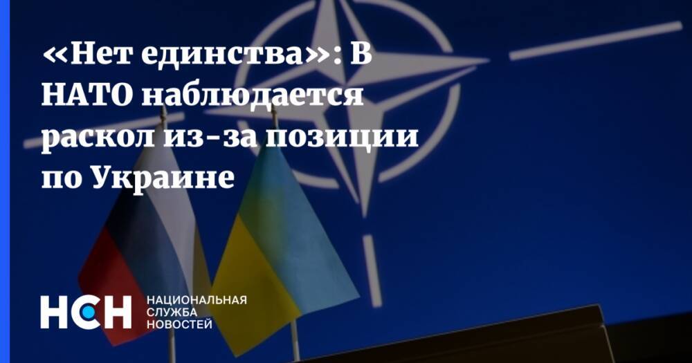 «Нет единства»: В НАТО наблюдается раскол из-за позиции по Украине