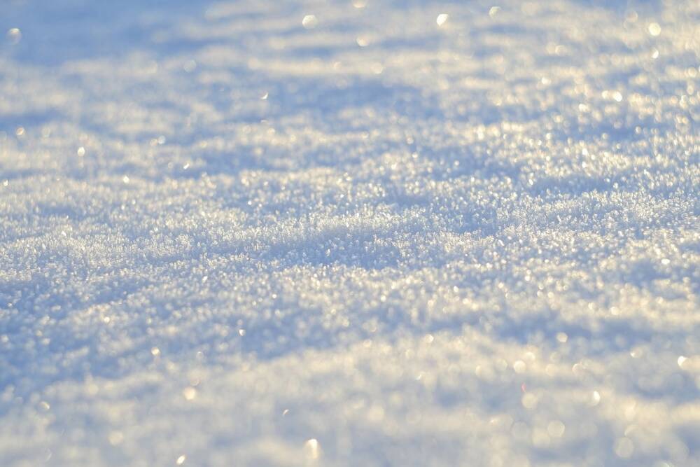 В Ленобласти 27 января до -15, на дорогах гололедица. В Петербурге ожидается снег