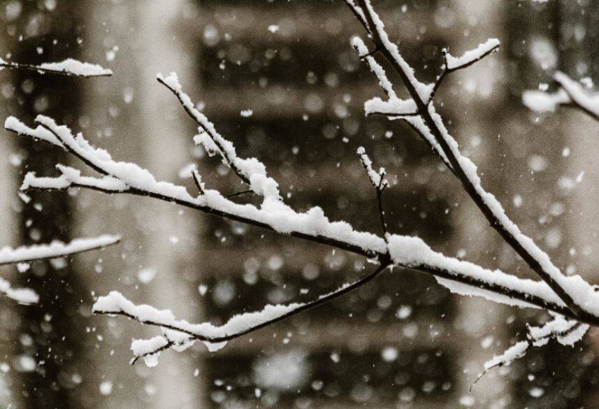 В Петербурге вновь оттепель, падающий с неба снег прикроет гололедицу
