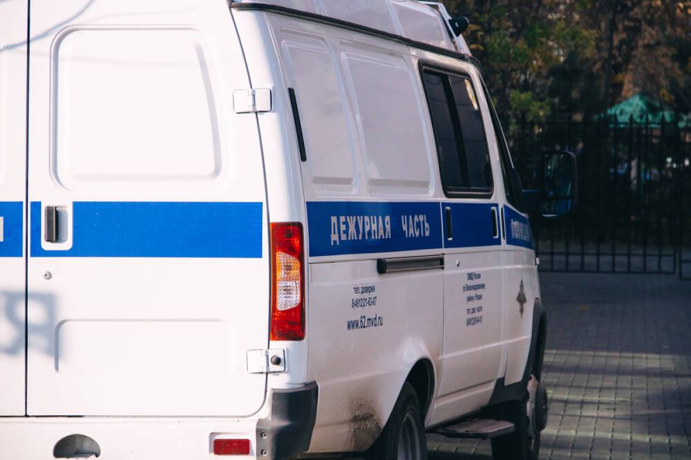 Полиция проверит информацию о нападении на девочек в Ряжске