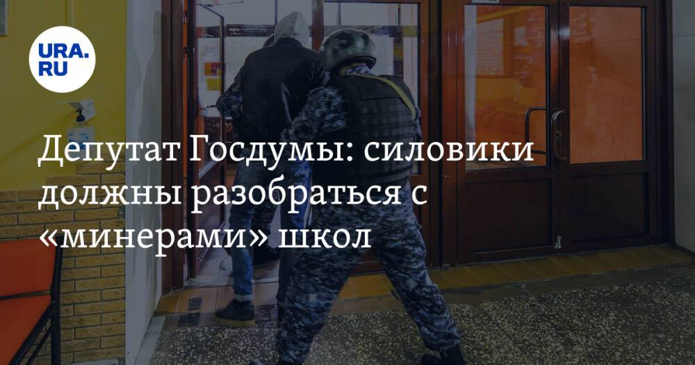 Депутат Госдумы: силовики должны разобраться с «минерами» школ