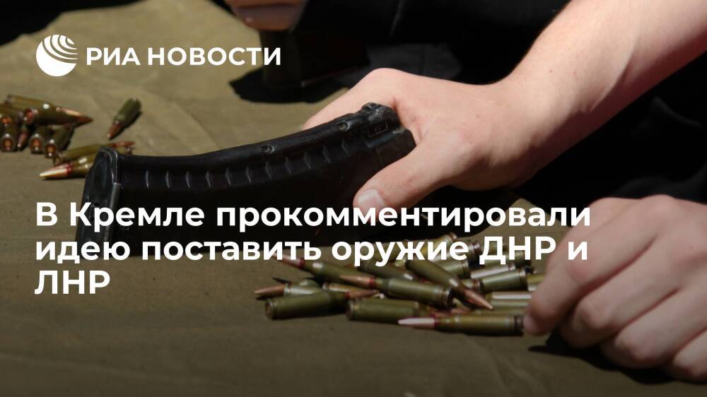 Пресс-секретарь Песков: Путин пока не отреагировал на идею поставить оружие ДНР и ЛНР