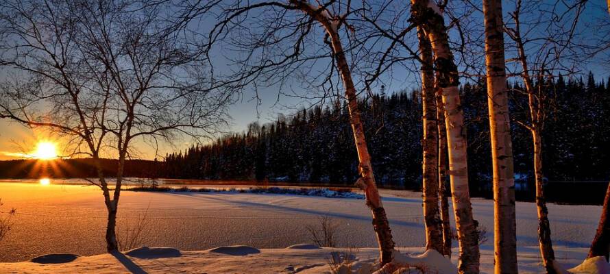 Небольшой снег и мороз ожидаются 28 января в Карелии