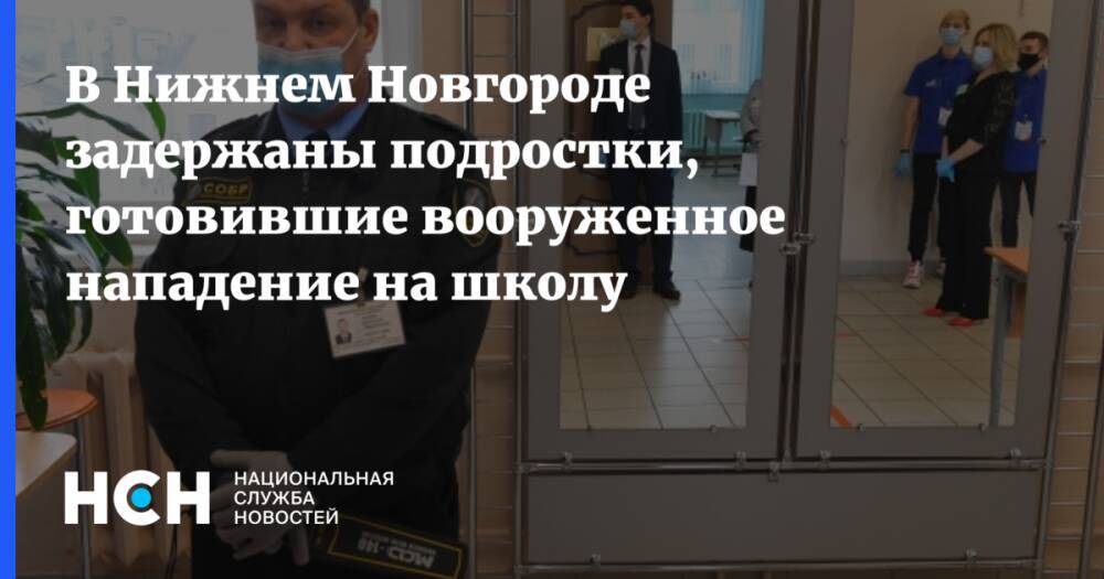 В Нижнем Новгороде задержаны подростки, готовившие вооруженное нападение на школу