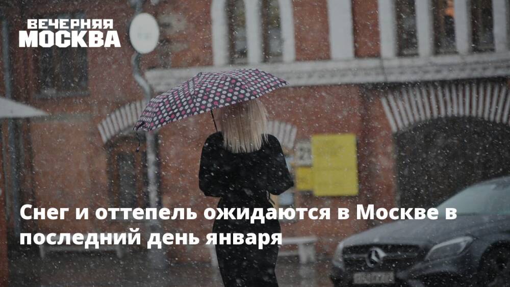 Снег и оттепель ожидаются в Москве в последний день января
