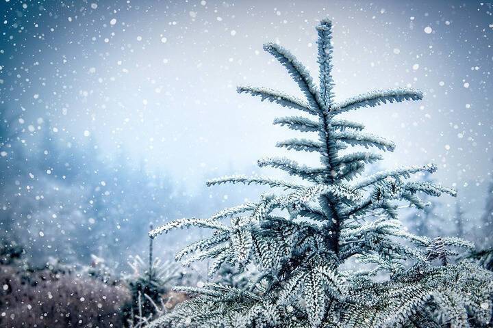 28 января в Смоленскую область придет потепление и пойдет мокрый снег
