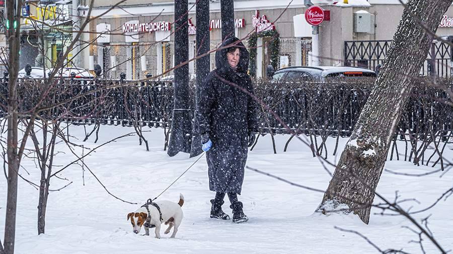 Синоптики рассказали о погоде в Москве 28 января