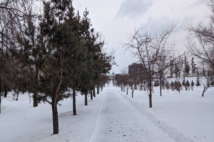 Похолодание до -14 градусов и гололедица – погода в Красноярске 28 января