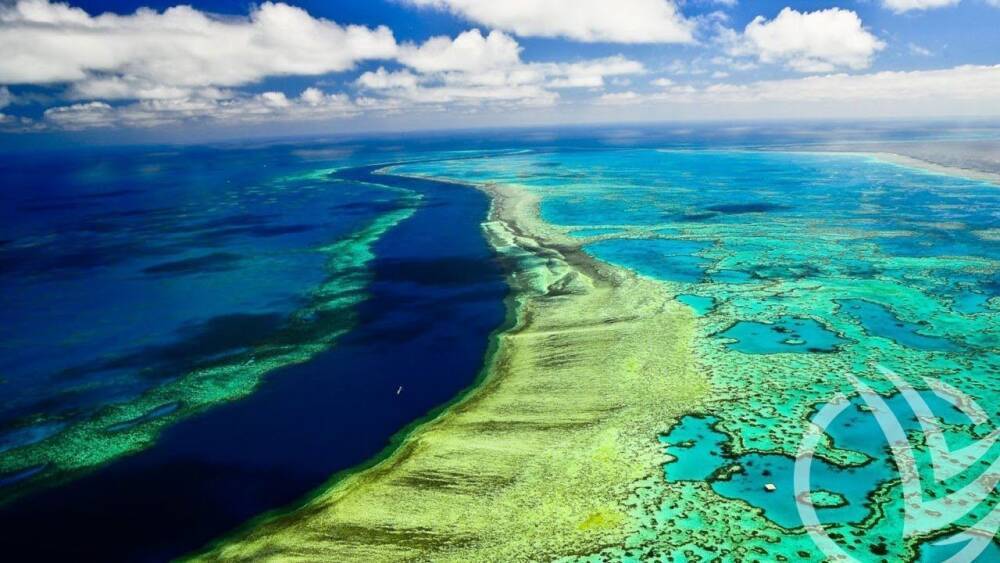 Премьер Австралии пообещал выделить $700 млн на спасение Большого Барьерного рифа