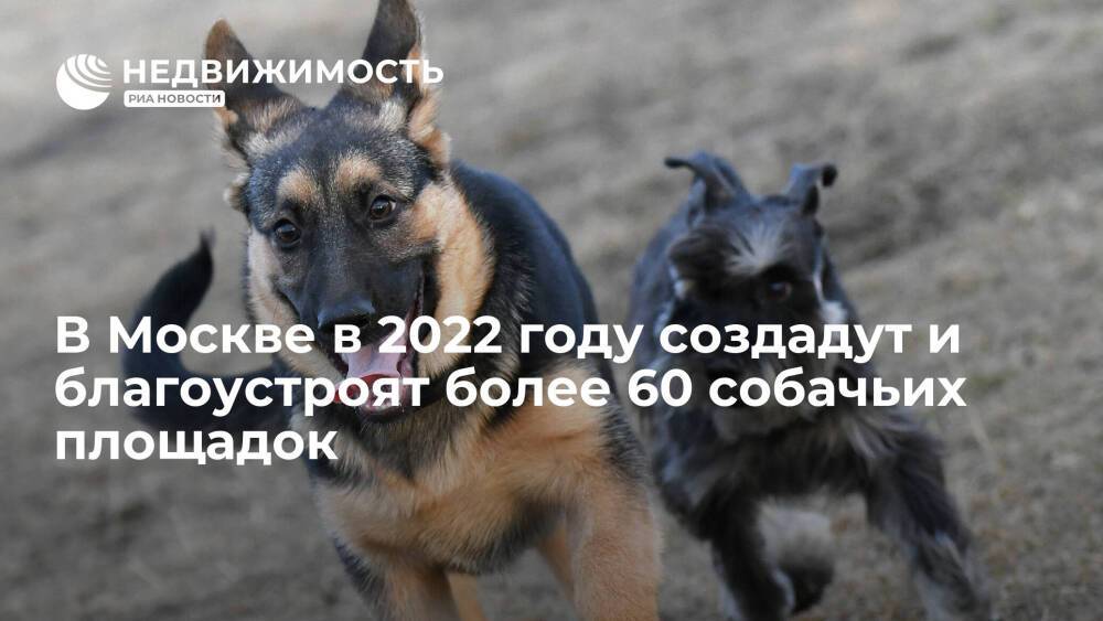 Собянин: более 60 собачьих площадок будут созданы и благоустроены в 2022 году в Москве