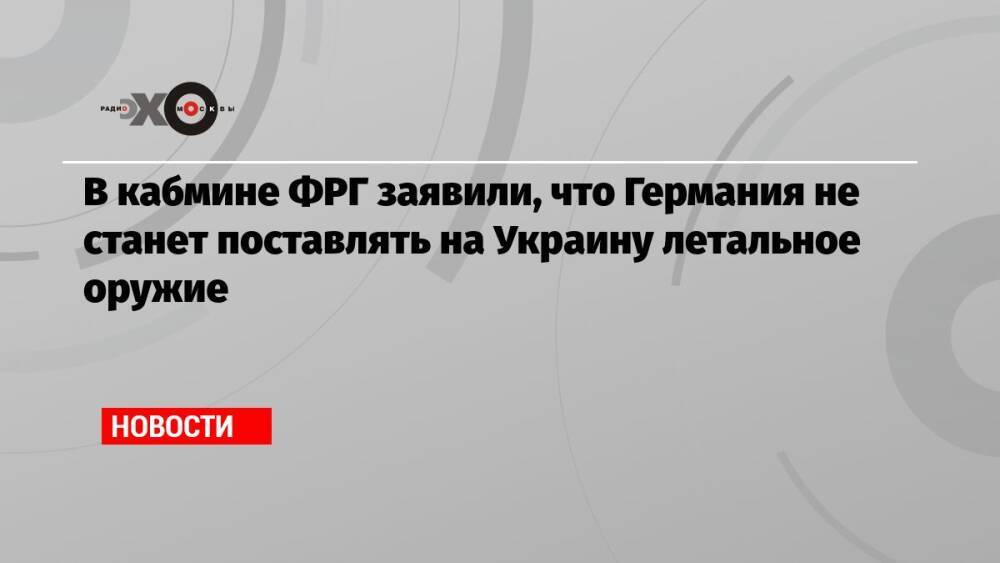 В кабмине ФРГ заявили, что Германия не станет поставлять на Украину летальное оружие