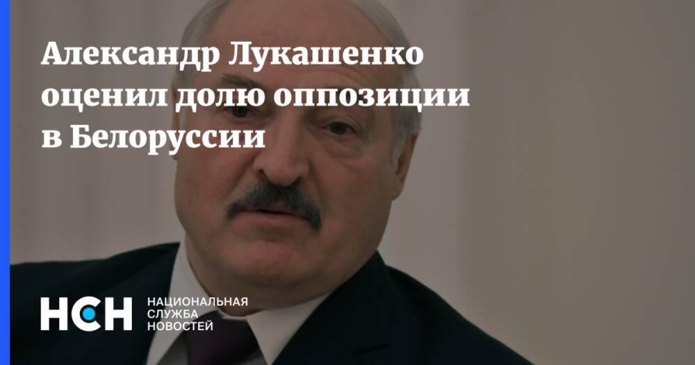 Александр Лукашенко оценил долю оппозиции в Белоруссии