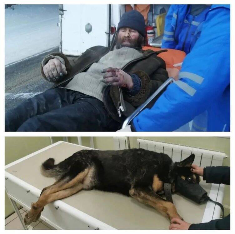Выжившие. Ульяновцы спасают искалеченного пса и его хозяина