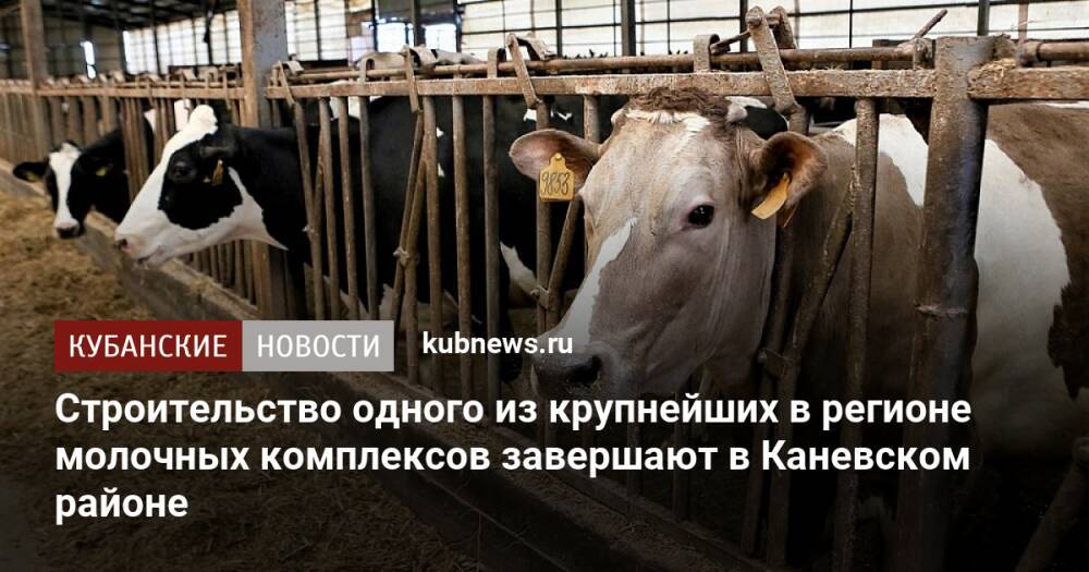 Строительство одного из крупнейших в регионе молочных комплексов завершают в Каневском районе
