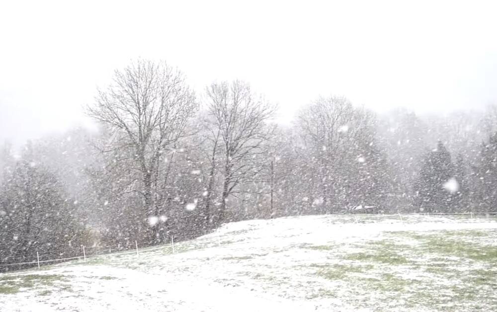 Мощные снегопады завалят Украину: синоптик Диденко предупредила об ужасной погоде в субботу и воскресенье