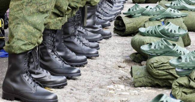 Граждане России из ЛДНР могут быти призваны в армию — депутат Госдумы