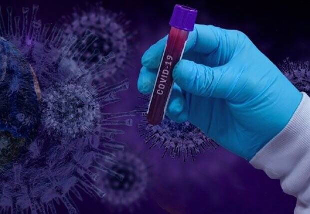 Стало известно, как организм может блокировать все штаммы коронавируса
