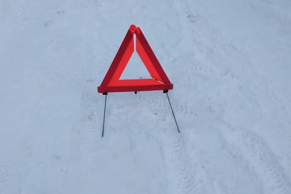 Замороженными курами завалило дорогу под Серпуховом