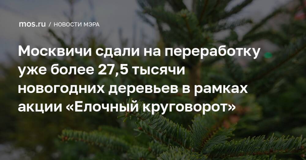 Москвичи сдали на переработку уже более 27,5 тысячи новогодних деревьев в рамках акции «Елочный круговорот»