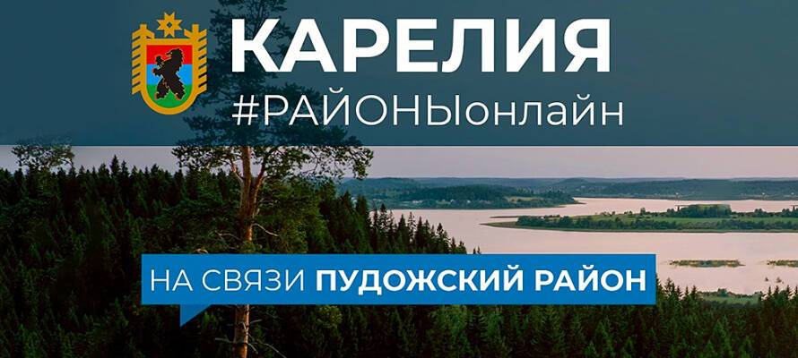 Власти Карелии намерены со второй попытки организовать онлайн-совещание с Пудожским районом