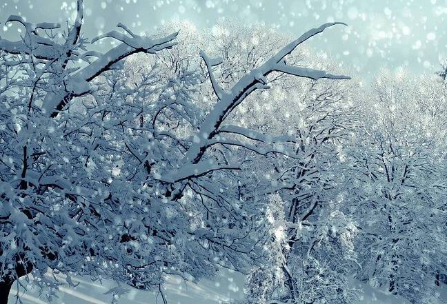 Санкт-Петербург обновил рекорд по высоте снежного покрова за эту зиму