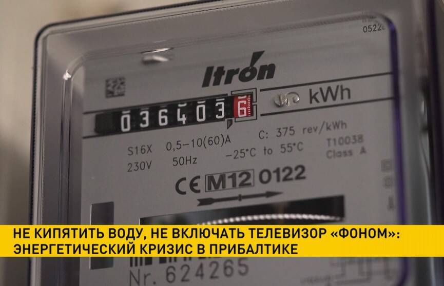 В Литве из-за энергетического кризиса посоветовали гражданам максимально экономить электроэнергию