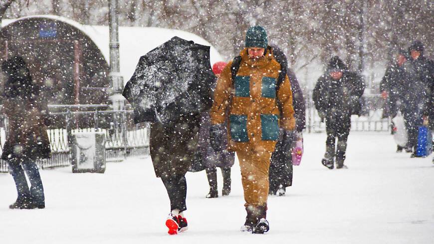 Синоптики пообещали москвичам штормовой ветер и обильный снегопад