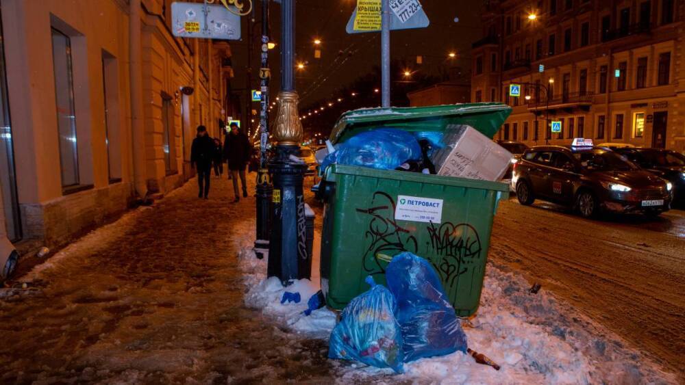 Невский экологический оператор заплатит 2 млн рублей за мусорный коллапс в Петербурге
