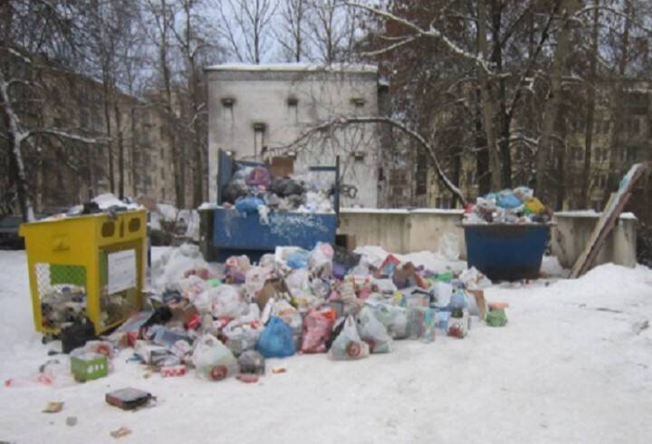 Оператора ТКО из Петербурга оштрафовали на 2 млн за несвоевременный вывоз мусора