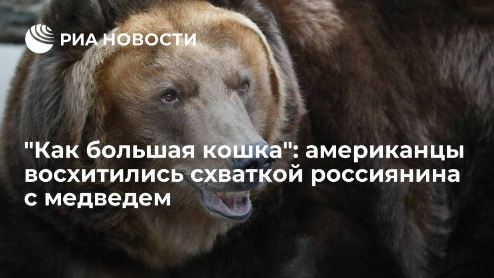 Пользователи Reddit пришли в восторг от силового поединка россиянина с медведем