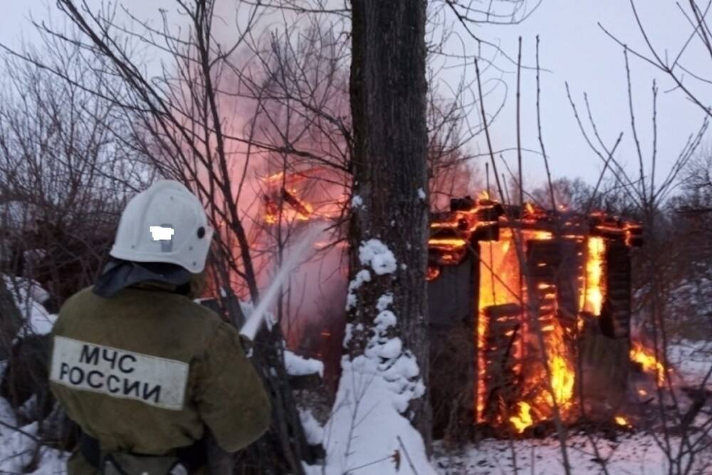 Мужчина сгорел в собственном доме под Пушкинскими Горами