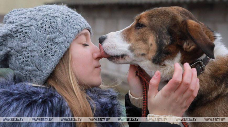 Слова Лукашенко о недопустимости жестокости к животным обнадежили зоозащитников Беларуси