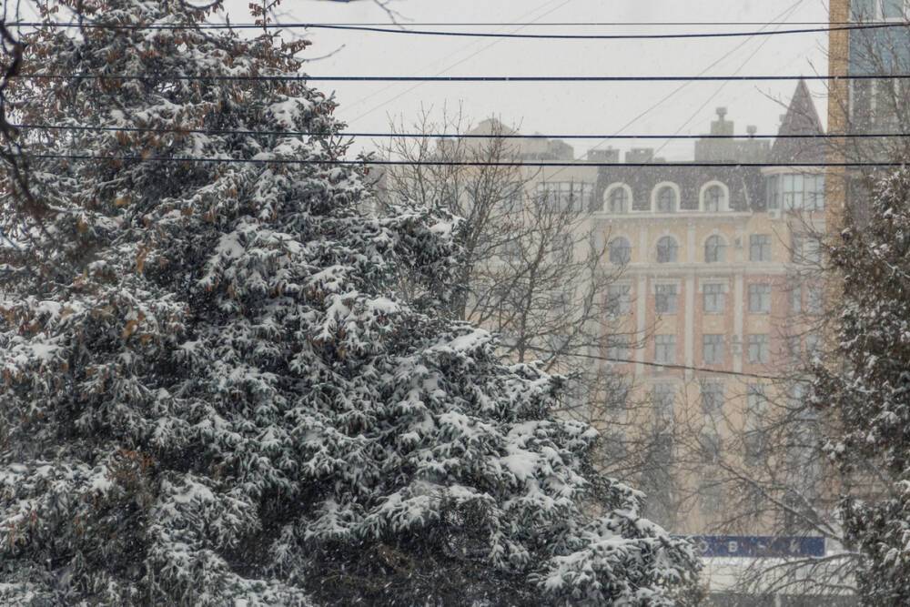 31 января в Рязанской области ожидается мокрый снег и до +2 градусов