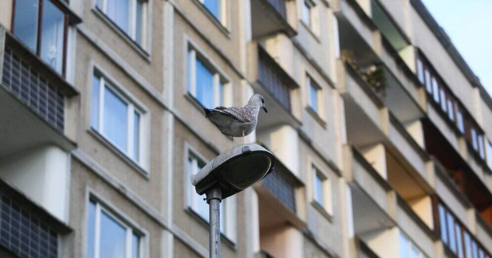 TV3: в рижской девятиэтажке ветер сорвал балкон; жильцы вынуждены жить в некомфортных условиях