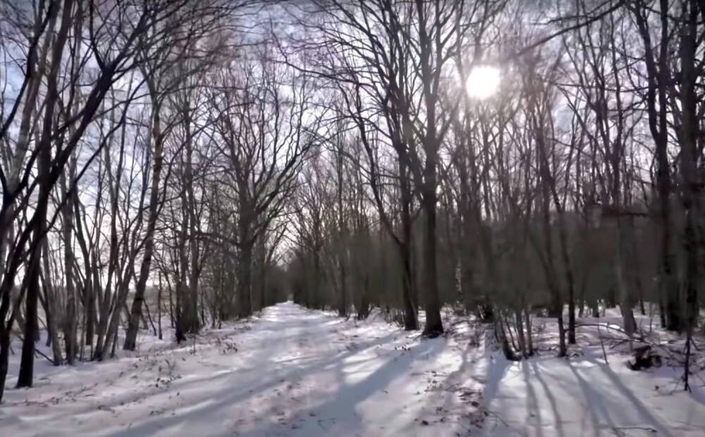 Погода 31 января разделит Украину: в каких областях пойдет снег, а где будет сухо и солнечно – прогноз синоптиков